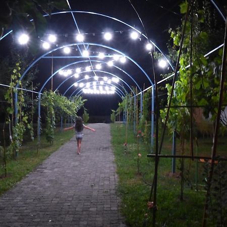 Villa "Zepuri" Dushet'i Exteriér fotografie