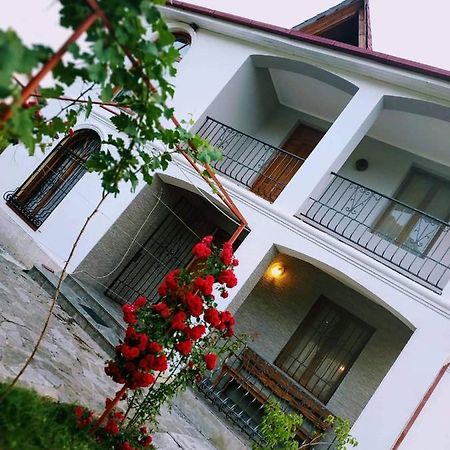 Villa "Zepuri" Dushet'i Exteriér fotografie