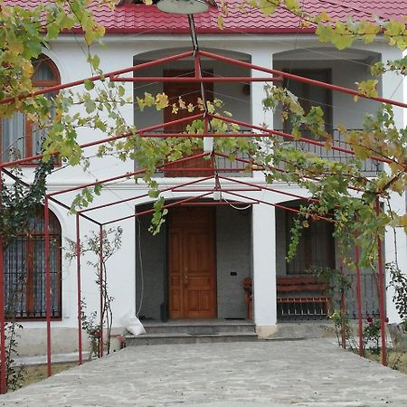 Villa "Zepuri" Dushet'i Exteriér fotografie