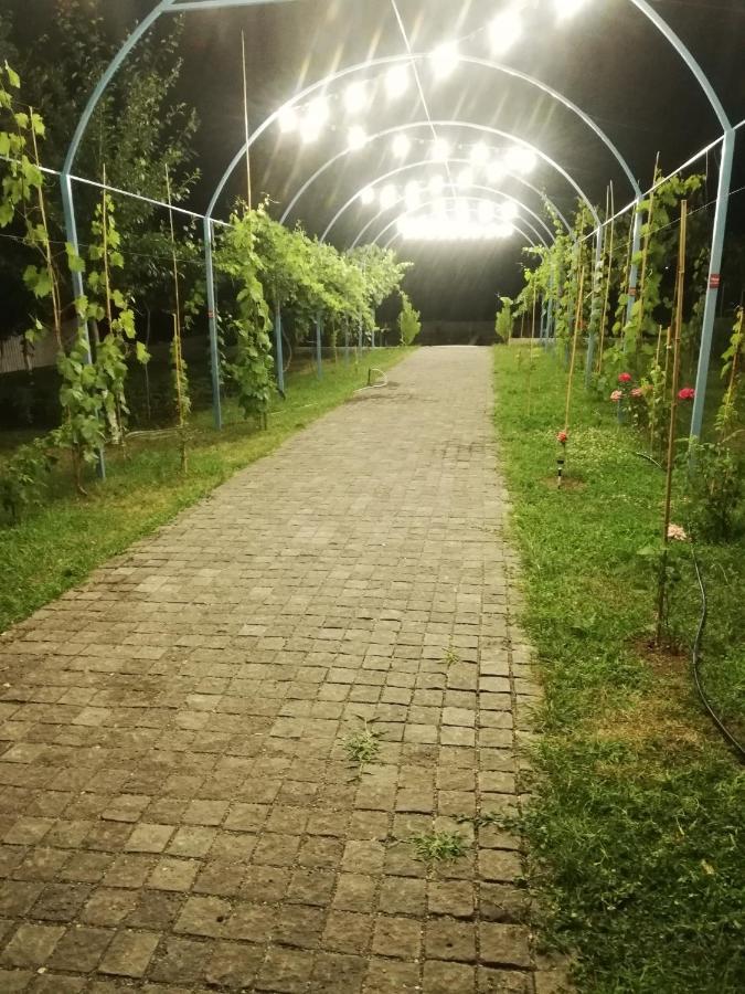 Villa "Zepuri" Dushet'i Exteriér fotografie