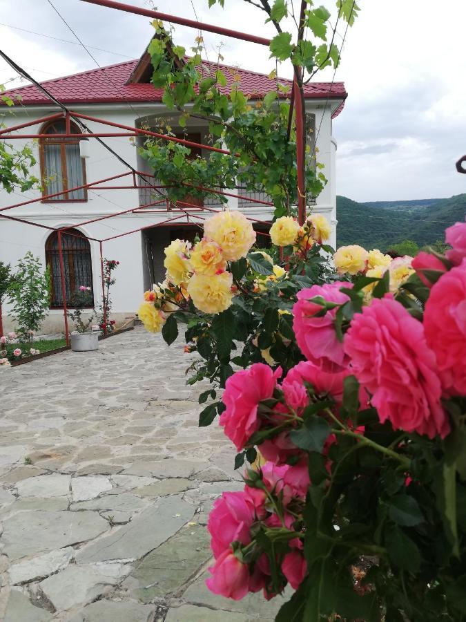 Villa "Zepuri" Dushet'i Exteriér fotografie