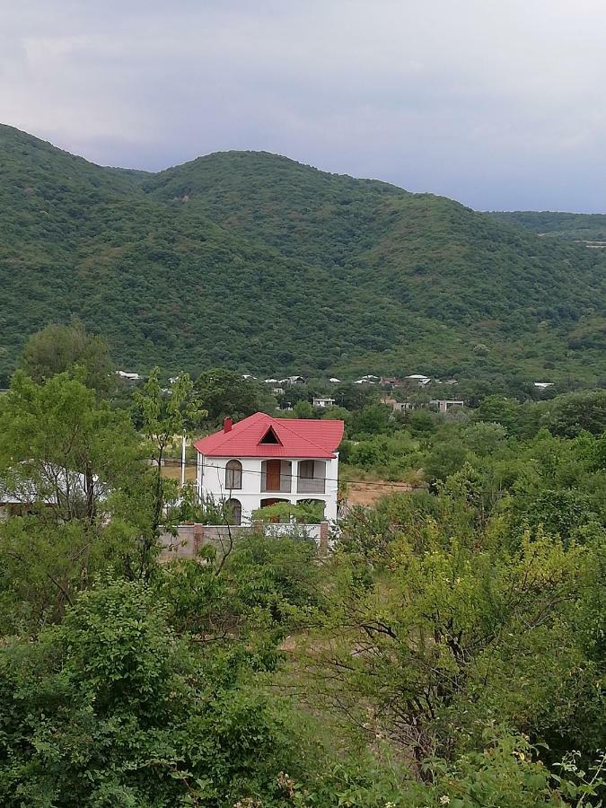 Villa "Zepuri" Dushet'i Exteriér fotografie